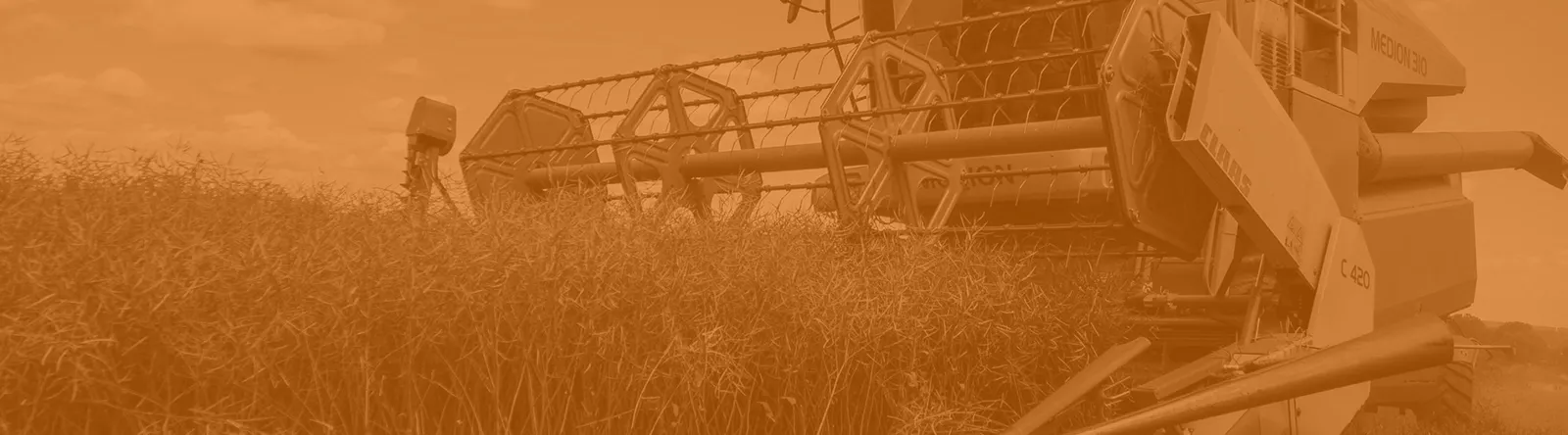 Asset Valuation Case Studies